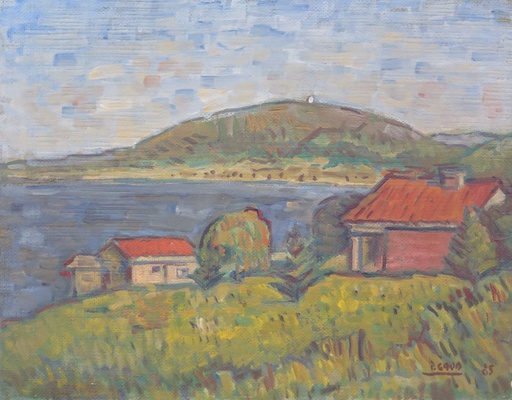 Cerro y casas