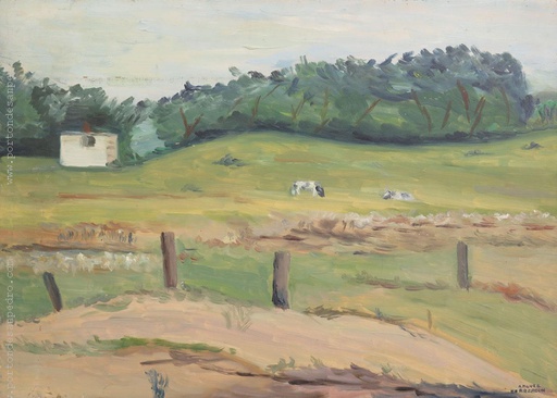 Campo