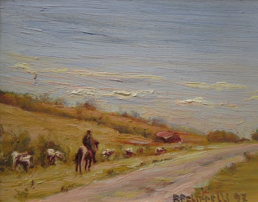 Campo