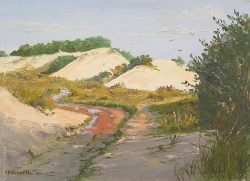 Dunas II