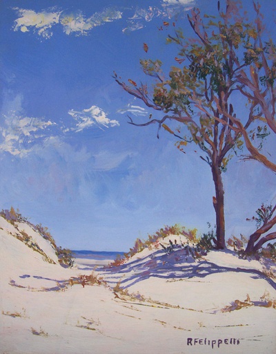 Dunas IV