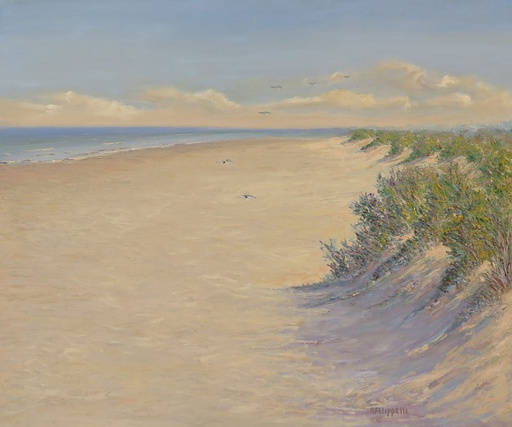 Playa de Shangrilá II