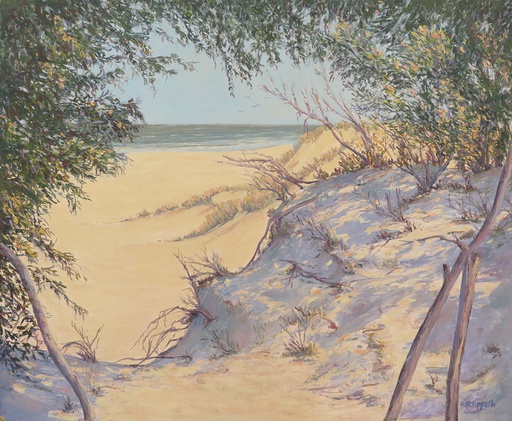 Playa de Shangrilá