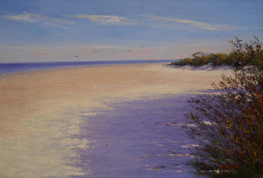 Playa III