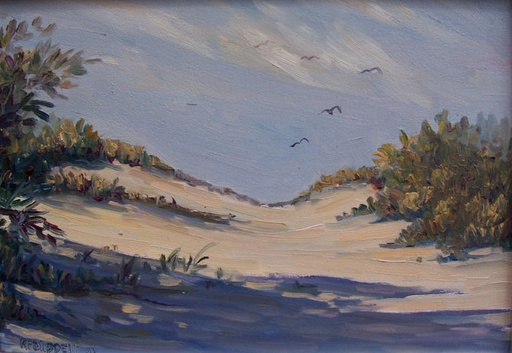 Playa IV