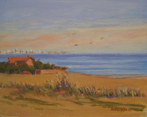 Playa Mansa
