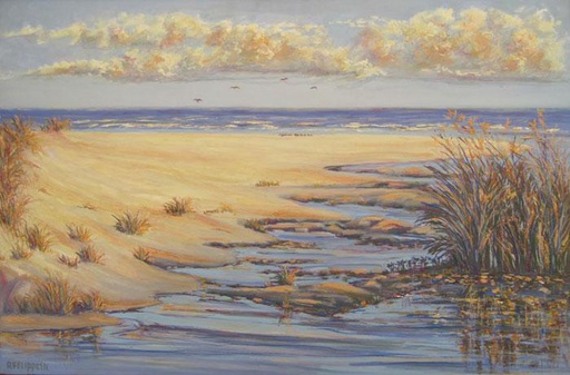 Playa VI