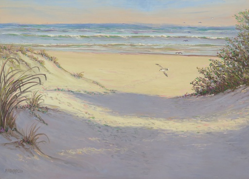 Playa VII