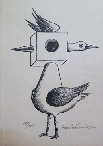 Pájaro