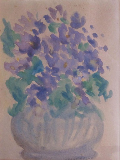 Violetas