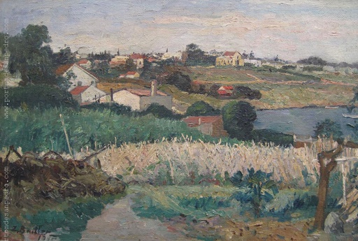 Vista desde la chacra